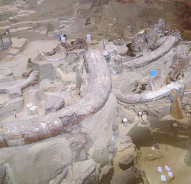 ???????????????????????????????